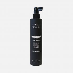 Hair company Inimitable Style Transforming spray 300ml